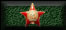 Distinguished Command and Battle Action Red Star 